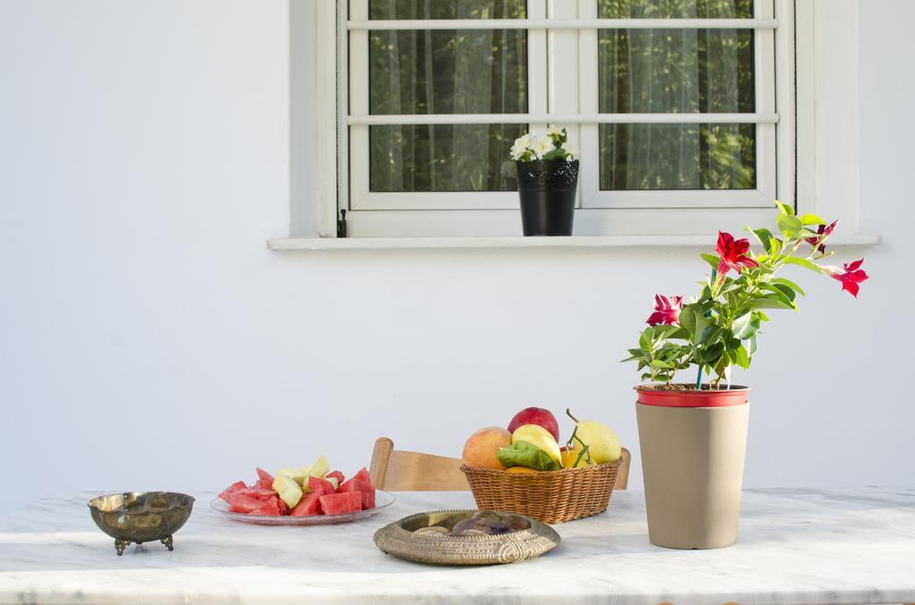 Garden House Palaio Faliro Атина Екстериор снимка